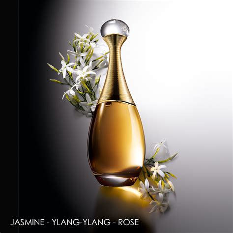 jar dior perfume|buy j'adore perfume online.